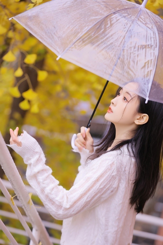 熊出没·伴我“熊芯” 封面